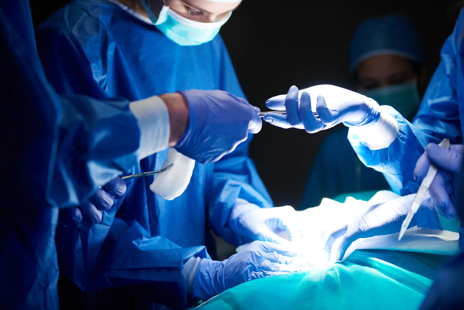 Veterinary surgical simulation at Greenlight Academy